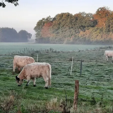 度假居 01 Familien Premium Pods 